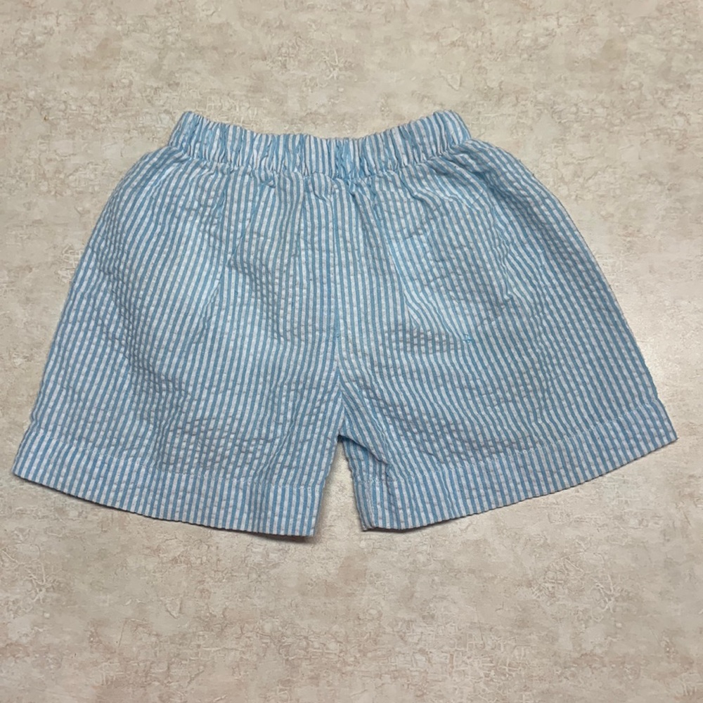 Chevron Boutique Swim Trunks